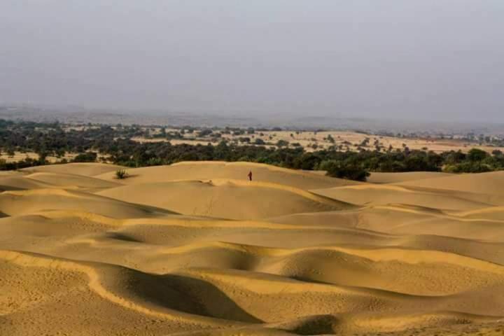 Sunny Desert Camp Kūri Exteriér fotografie