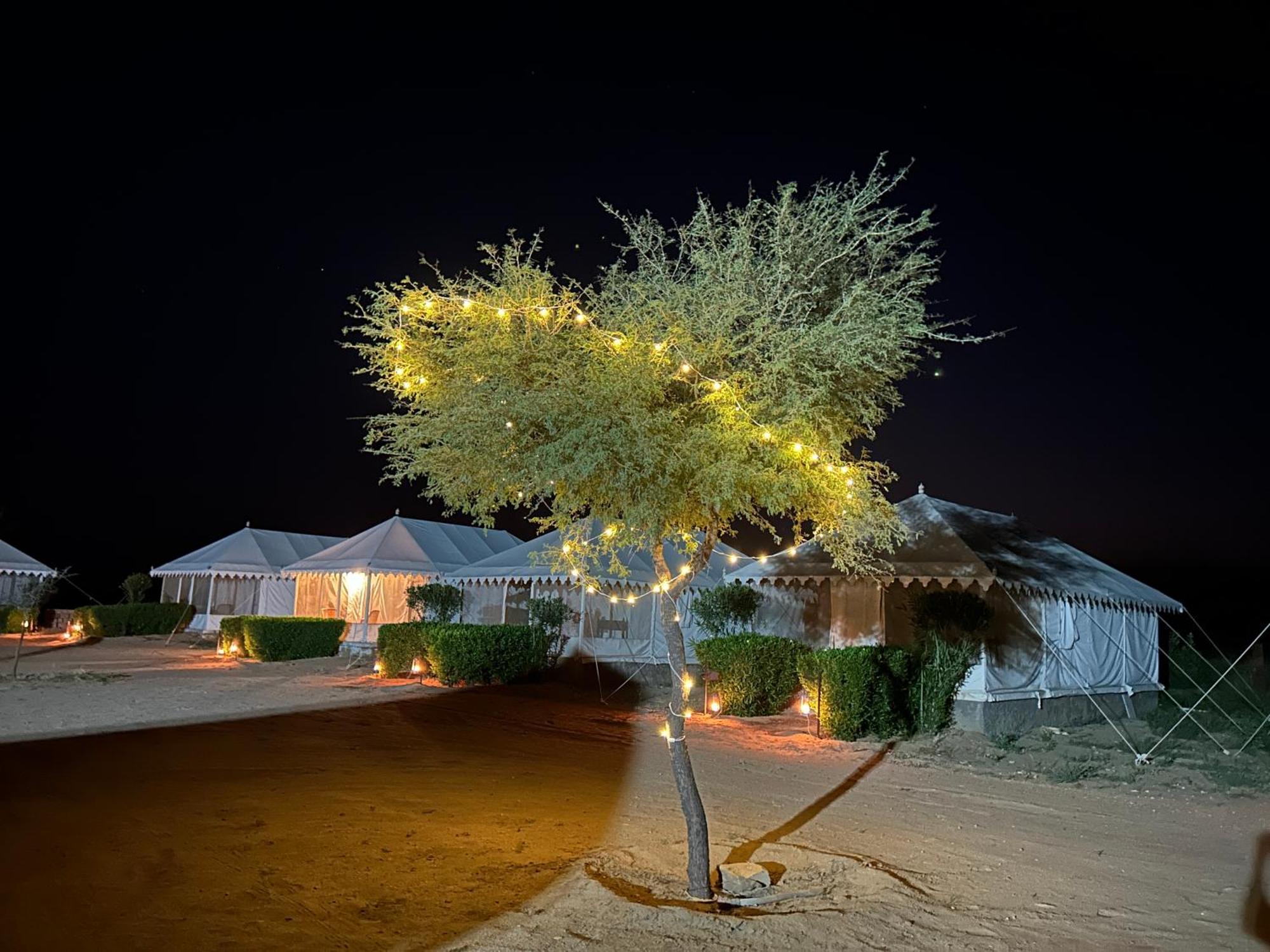 Sunny Desert Camp Kūri Exteriér fotografie